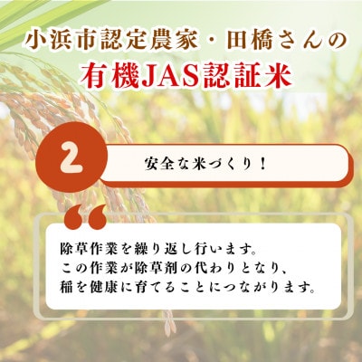 令和8年産【新米】福井県産こしひかり　JAS有機米　玄米　10kg