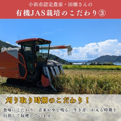 福井県産こしひかり　JAS有機米　玄米　10kg　