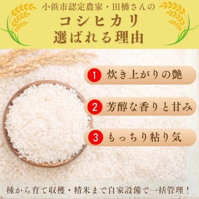 先行受付　令和7年産福井県産こしひかり　白米10kg
