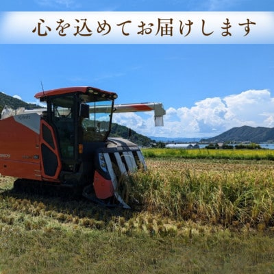 令和8年産【新米】福井県産こしひかり　白米10kg
