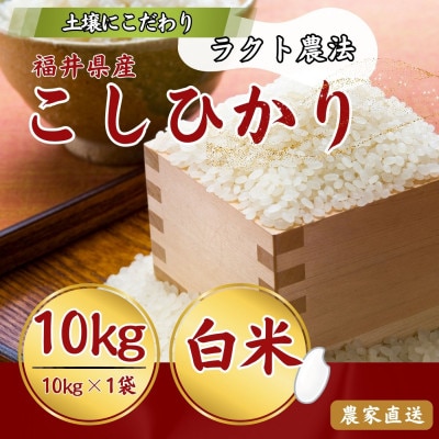 【新米】令和8年産 こしひかり白米10kg　ラクト農法