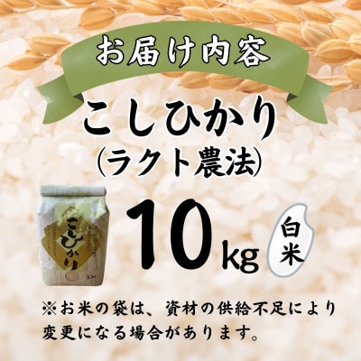 【新米】令和8年産 こしひかり白米10kg　ラクト農法