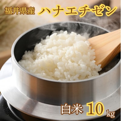 令和7年産　新米ハナエチゼン10kg・白米