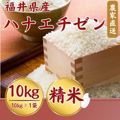 【新米】令和8年産福井県産ハナエチゼン10kg・白米　