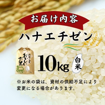 【新米】令和8年産福井県産ハナエチゼン10kg・白米　