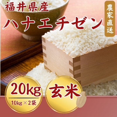 【新米】令和8年産ハナエチゼン　玄米　20kg