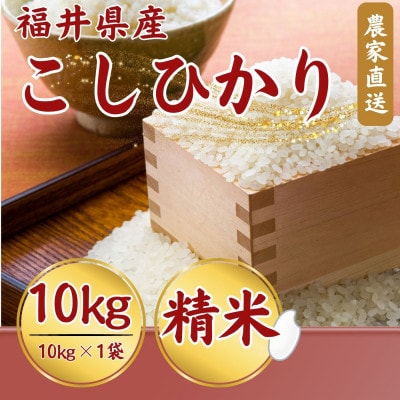 令和7年産 こしひかり白米10kg