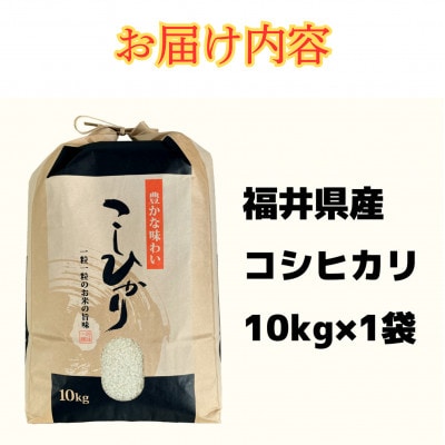 令和7年産新米こしひかり10kg