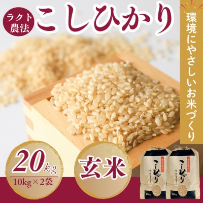 令和7年産新米こしひかり玄米20kg(ラクト農法)