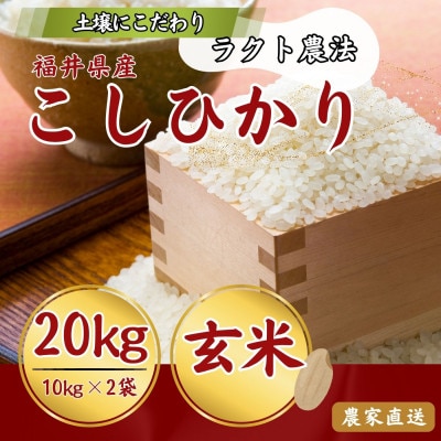 令和8年産 こしひかり玄米20kg(ラクト農法)