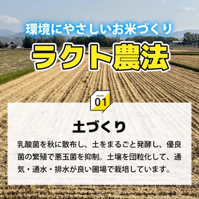 令和7年産新米こしひかり玄米20kg(ラクト農法)
