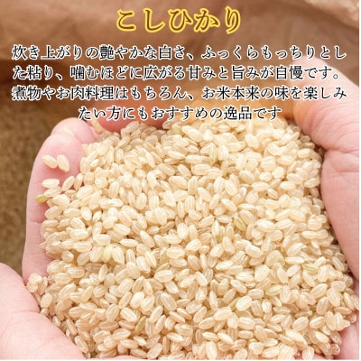 令和7年産新米こしひかり玄米20kg(ラクト農法)