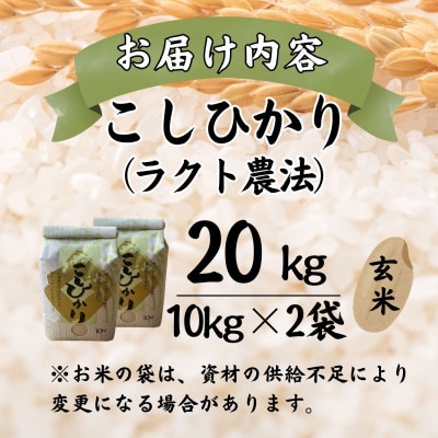 令和8年産 こしひかり玄米20kg(ラクト農法)