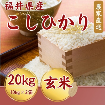 【新米】令和8年産こしひかり玄米　20kg(10kg×2袋)