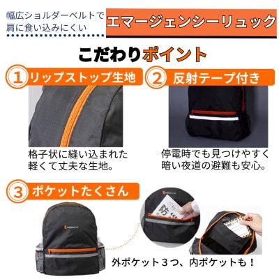 防災セット 17点 備蓄 災害 非常用持ち出し袋 18-1200N