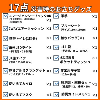防災セット 17点 備蓄 災害 非常用持ち出し袋 18-1200N