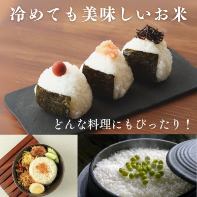 令和7年産新米　福井県産あきさかり白米10kg(5kg×2袋)