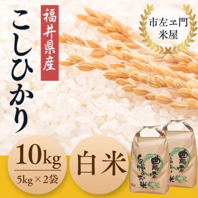 令和7年産　農家直送　福井県産こしひかり　白米10kg(5kg×2袋)