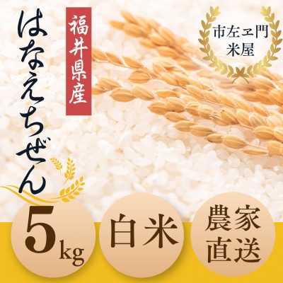 令和7年産新米　福井県産ハナエチゼン5kg 白米