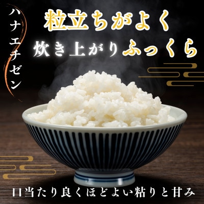 令和7年産新米　福井県産ハナエチゼン5kg 白米