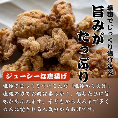 簡単・お手軽!冷凍　やみつき塩麹からあげ(380g×1パック)
