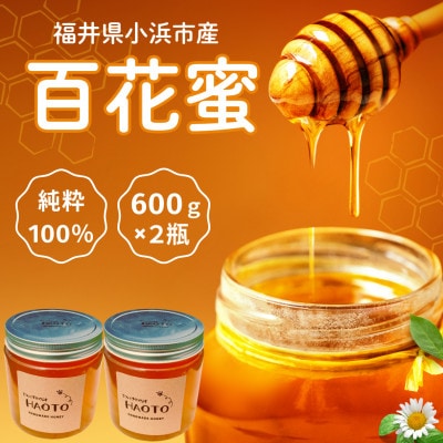 はちみつOBAMA 600g×2瓶