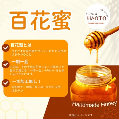 はちみつOBAMA 600g×2瓶