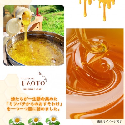 はちみつOBAMA 600g×2瓶