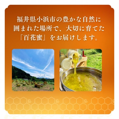 はちみつOBAMA 600g×2瓶