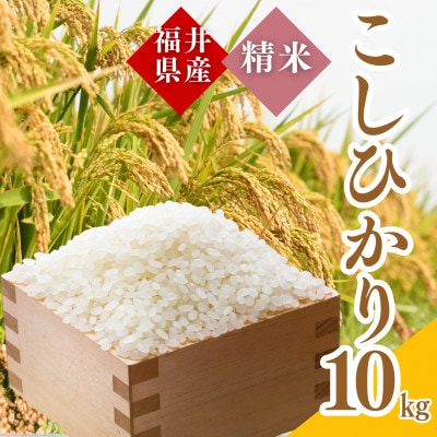 【令和7年産】福井県産こしひかり白米10kg