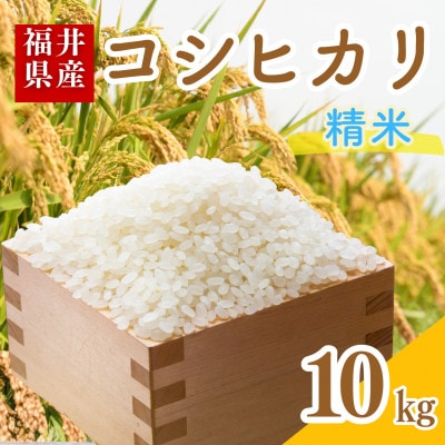 【令和7年産】福井県産こしひかり白米10kg