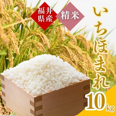 【令和7年産】福井県産いちほまれ白米10kg