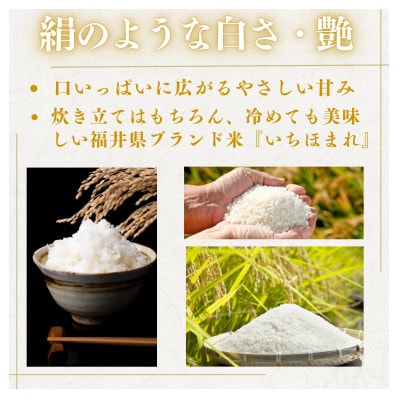 【令和7年産】福井県産いちほまれ白米10kg