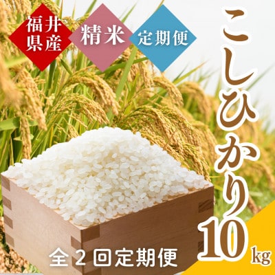 【毎月定期便】福井県産こしひかり白米10kg全2回
