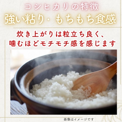 【毎月定期便】福井県産こしひかり白米10kg全2回
