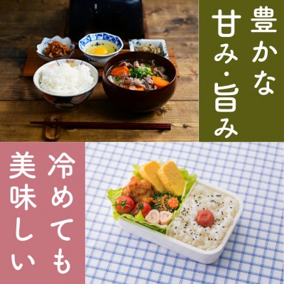 【毎月定期便】福井県産こしひかり白米10kg全2回