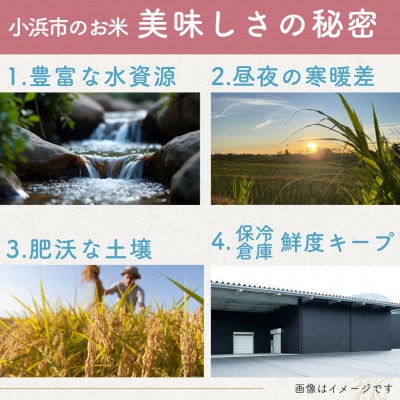 【毎月定期便】福井県産こしひかり白米10kg全2回