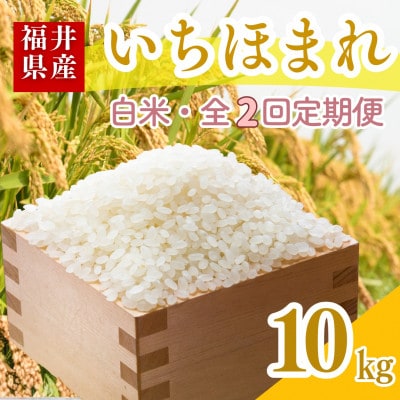 【毎月定期便】いちほまれ白米10kg全2回