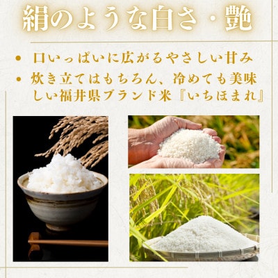 【毎月定期便】いちほまれ白米10kg全2回