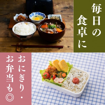 【毎月定期便】いちほまれ白米10kg全2回