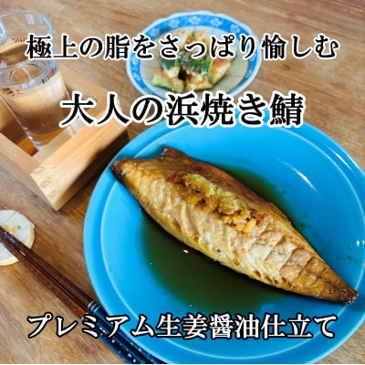 【さとふる限定】若狭小浜の焼き魚3種セット(各2切れ)/醤油干し(2種)+浜焼き鯖