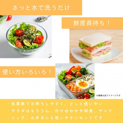 ツバキベジムーブの野菜セット フリルレタス500g+お楽しみ野菜約300g