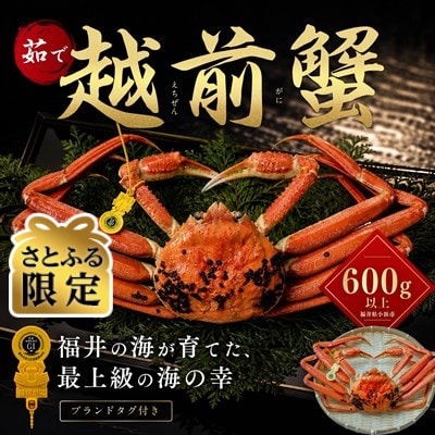 【さとふる限定】越前がに 茹で 600g以上