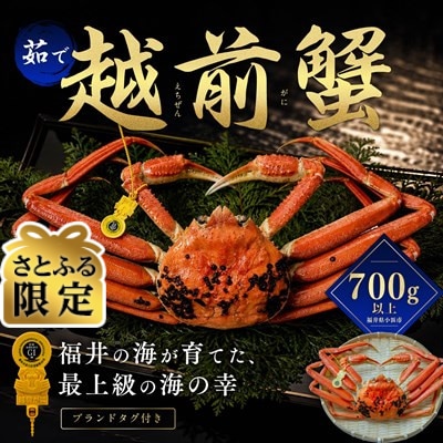 【さとふる限定】越前がに 茹で 700g以上