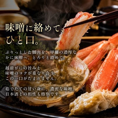 【さとふる限定】越前がに 茹で 700g以上