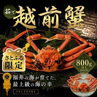 【さとふる限定】越前がに 茹で 800g以上