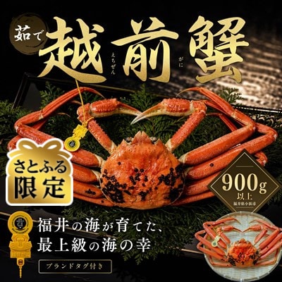 【さとふる限定】越前がに 茹で 900g以上