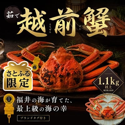 【さとふる限定】越前がに 茹で 1.1kg以上