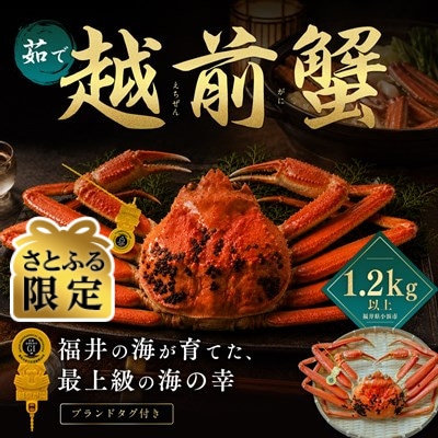 【さとふる限定】越前がに 茹で 1.2kg以上 1杯 福井県産ズワイガニ