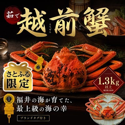 【さとふる限定】越前がに 茹で 1.3kg以上 1杯 福井県産ズワイガニ